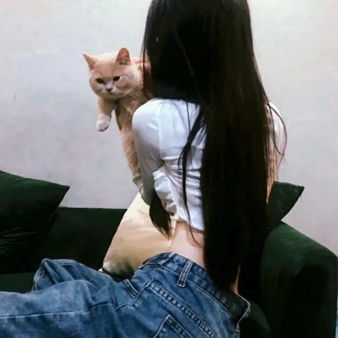 我的朋友圈